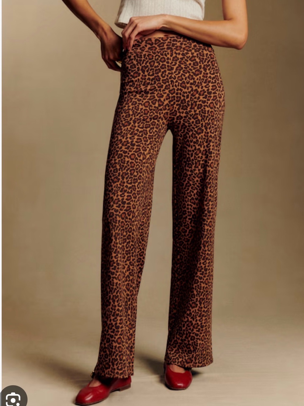 Sezane Livio Leopard-Print Wide Leg Pants - size L